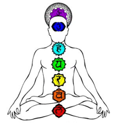 The 7 Major Chakras